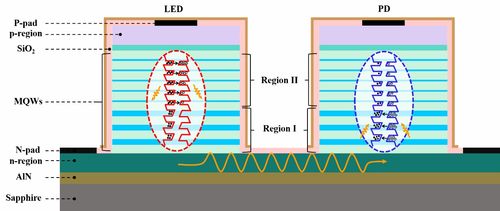 新成果展示 AlGaN基發(fā)光-探測(cè)雙功能集成光電子器件模型的開(kāi)發(fā)與應(yīng)用